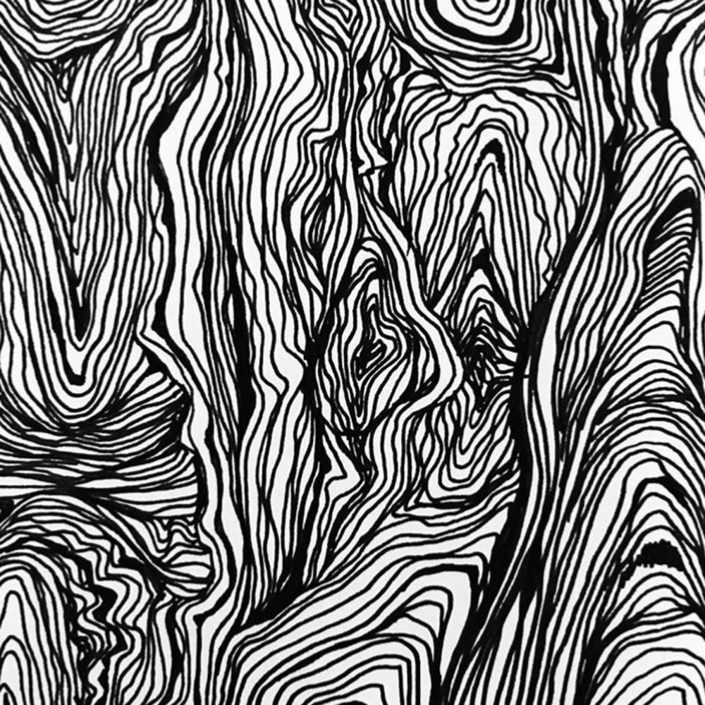 Meet your Posher, Rose